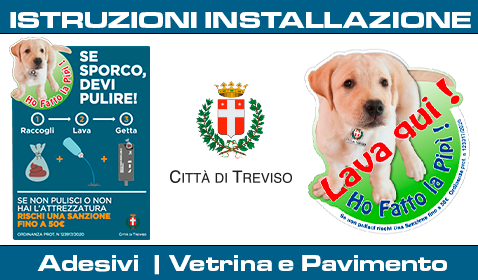 Adesivi Vetrina e Pavimento | Comune di Treviso