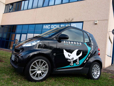 Reclamizzazione auto fishdog